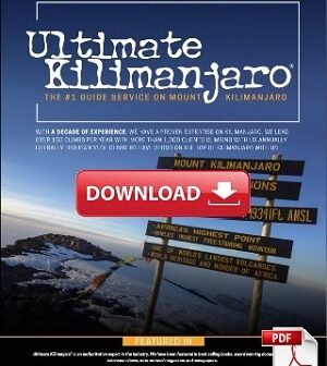 climb kilimanjaro best tour operators